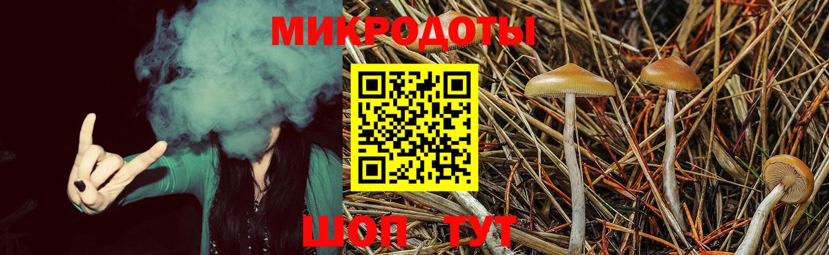 Каменск-Шахтинский  Галлюциногенные грибы Psilocybe  Вход с VPN 