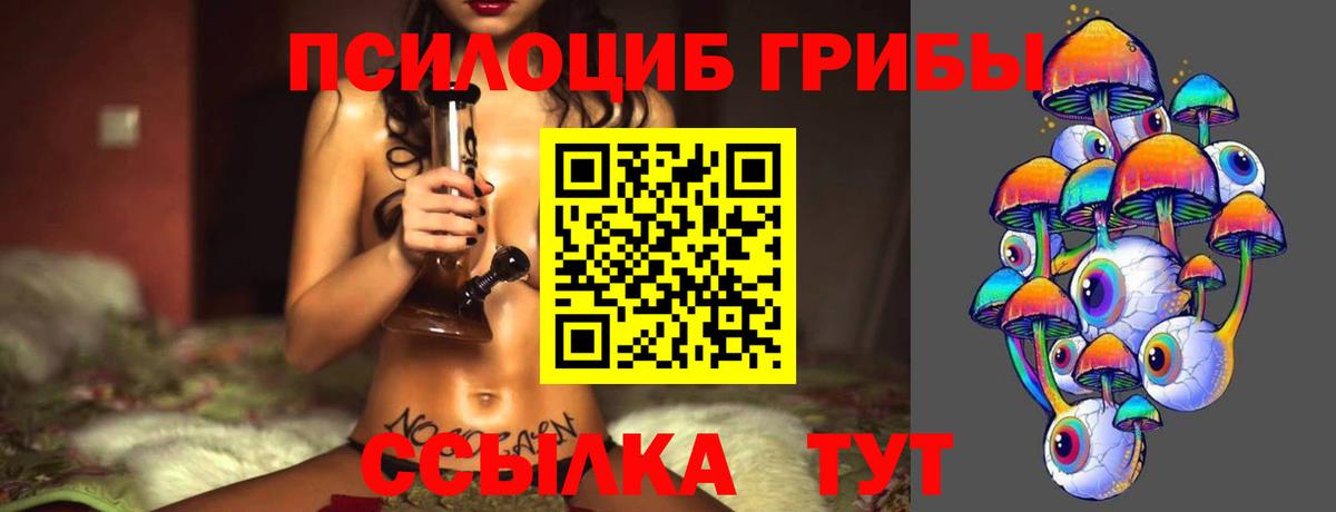 Псилоцибиновые грибы Cubensis Каменск-Шахтинский