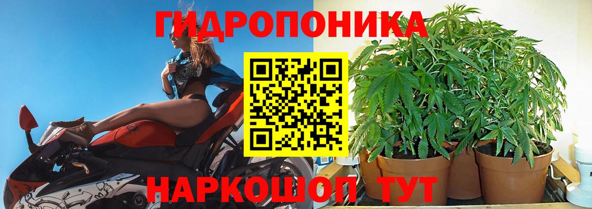 Бошки марихуана SATIVA & INDICA  Вход с VPN  Каменск-Шахтинский  Каннабис семена 
